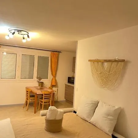 Cosy, Ile Verte, Chu Grenoble, Faculte Apartament